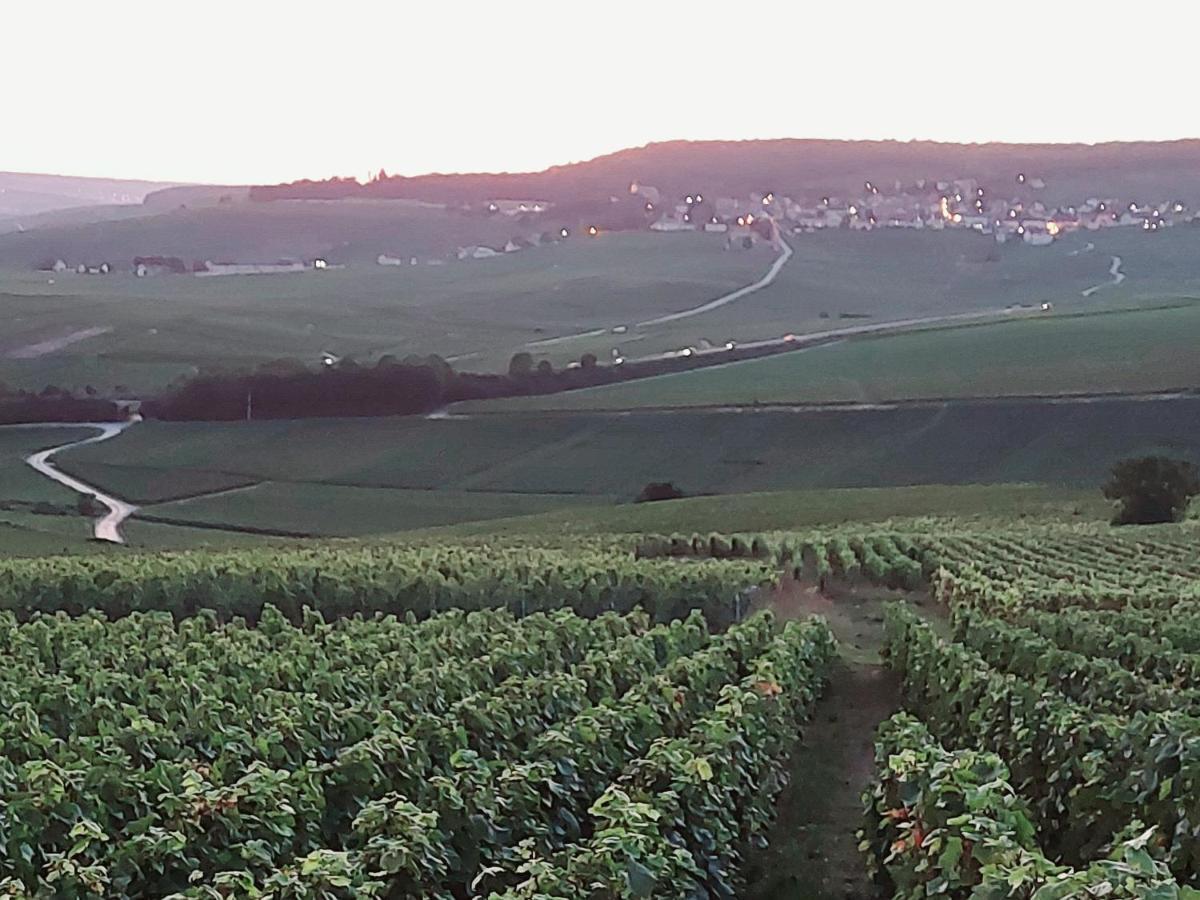 Апартаменты Epernay Capital De Champagne Экстерьер фото