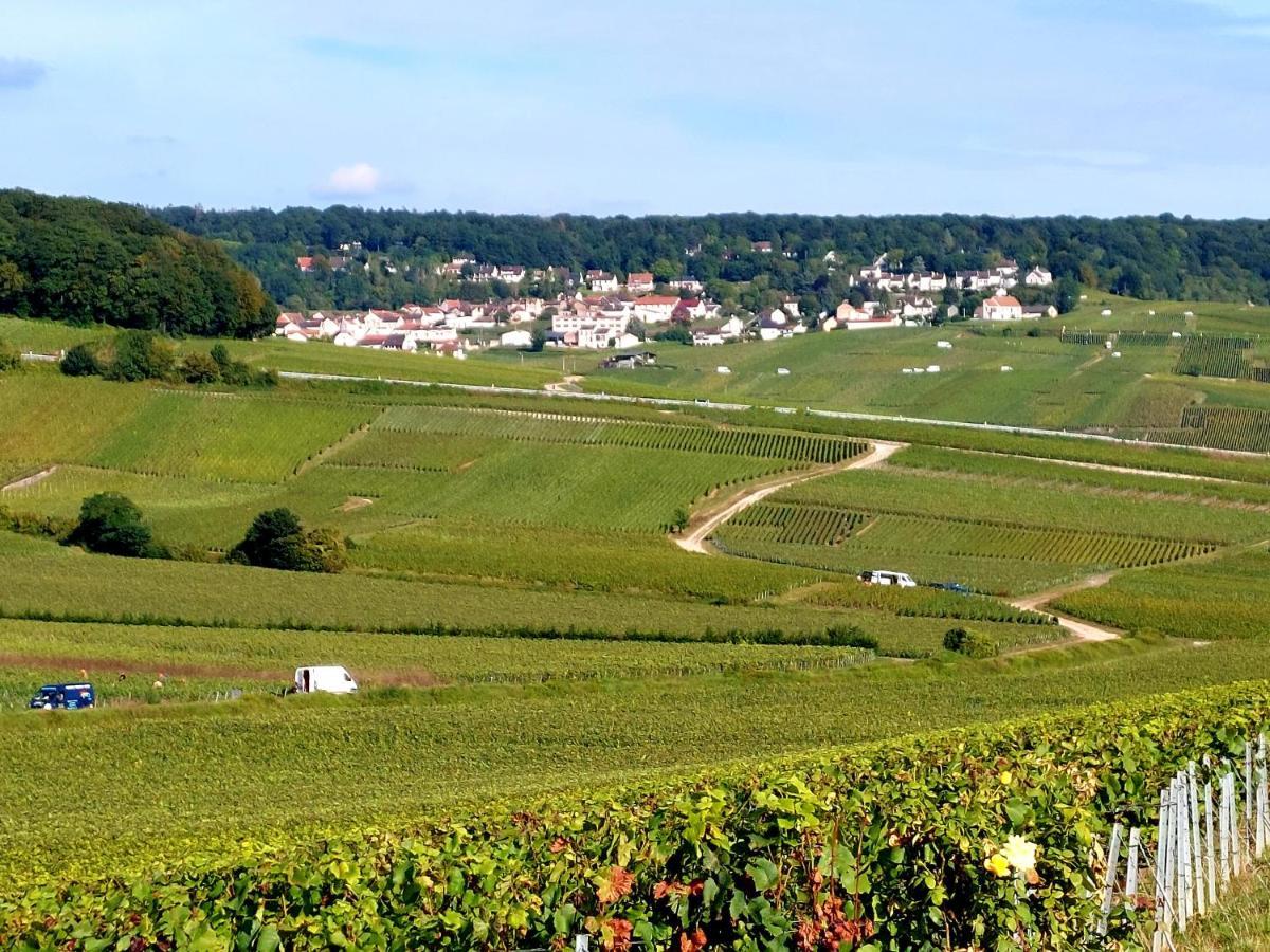 Апартаменты Epernay Capital De Champagne Экстерьер фото