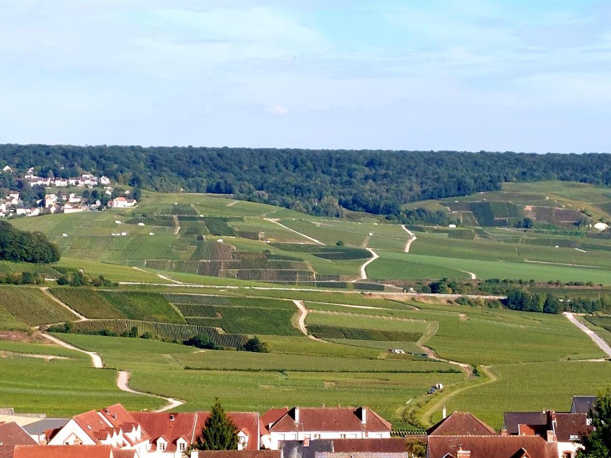 Апартаменты Epernay Capital De Champagne Экстерьер фото
