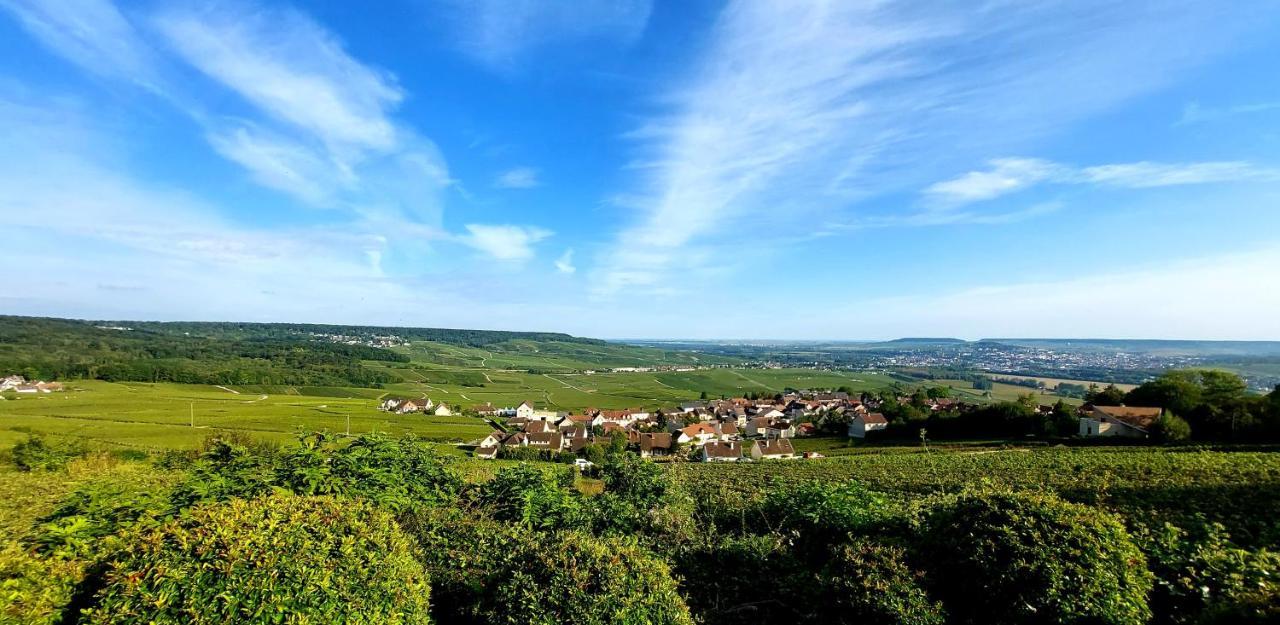 Апартаменты Epernay Capital De Champagne Экстерьер фото
